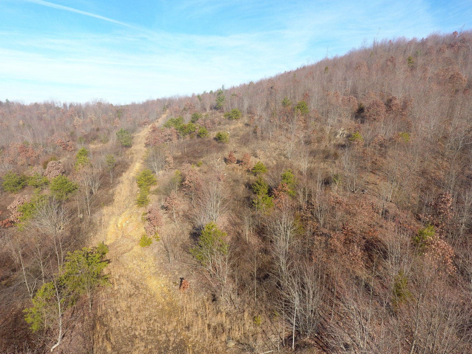 Image for 159 Inside Drive