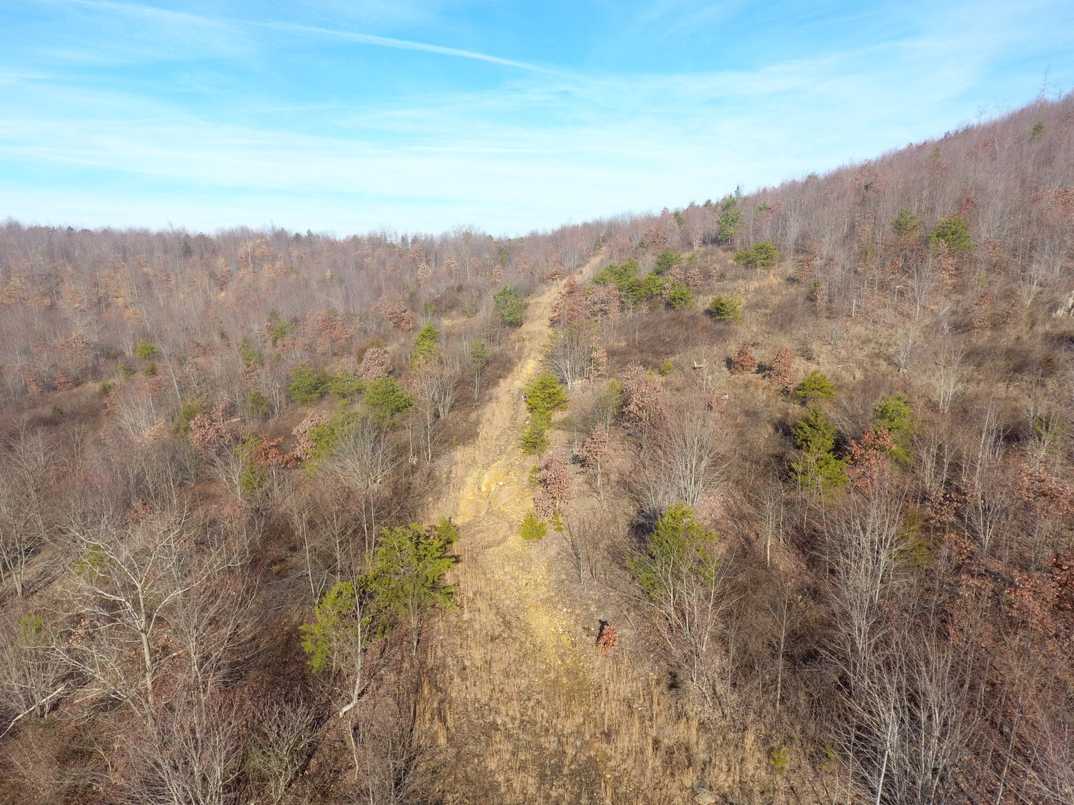 Image for 159 Inside Drive