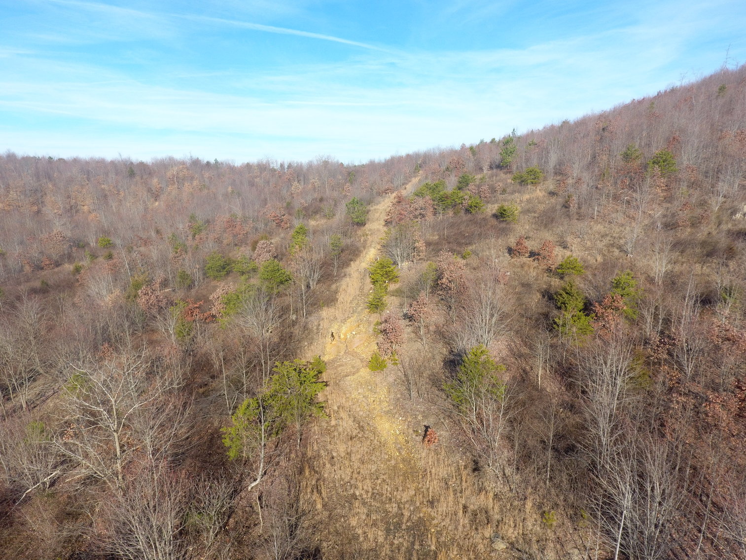 Image for 159 Inside Drive