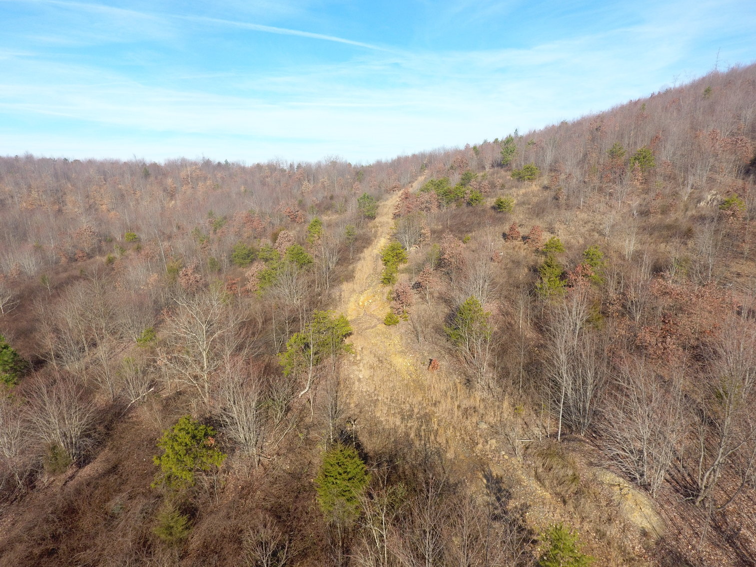 Image for 159 Inside Drive