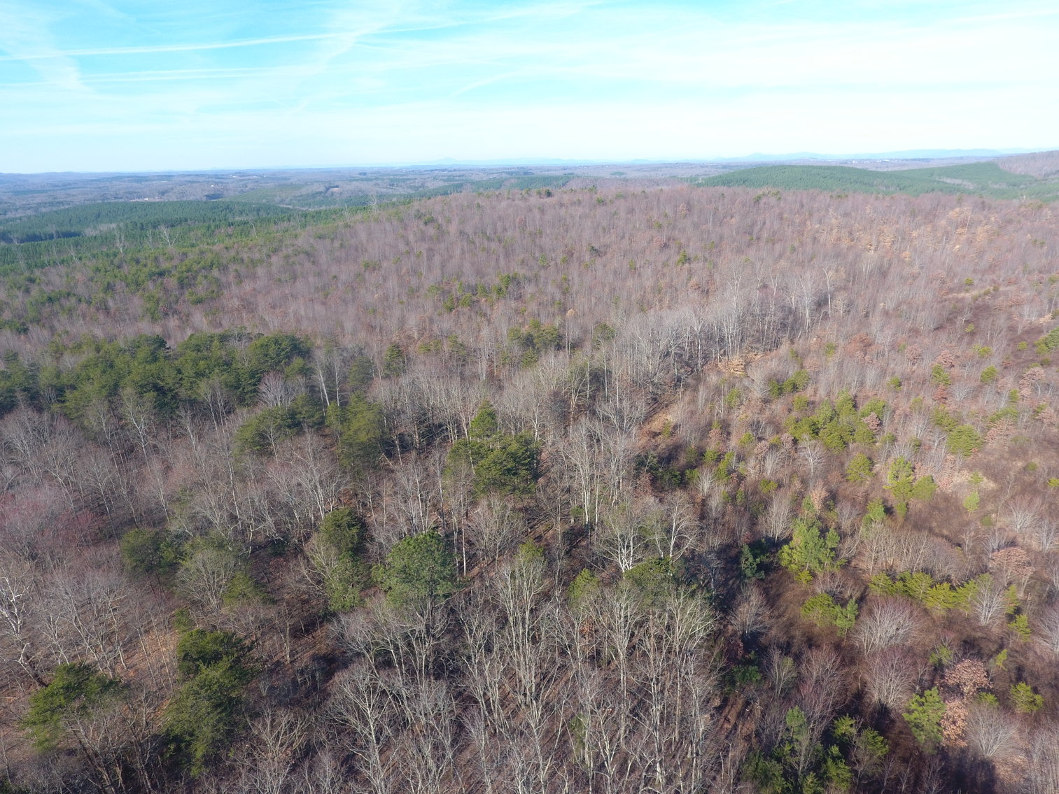 Image for 159 Inside Drive