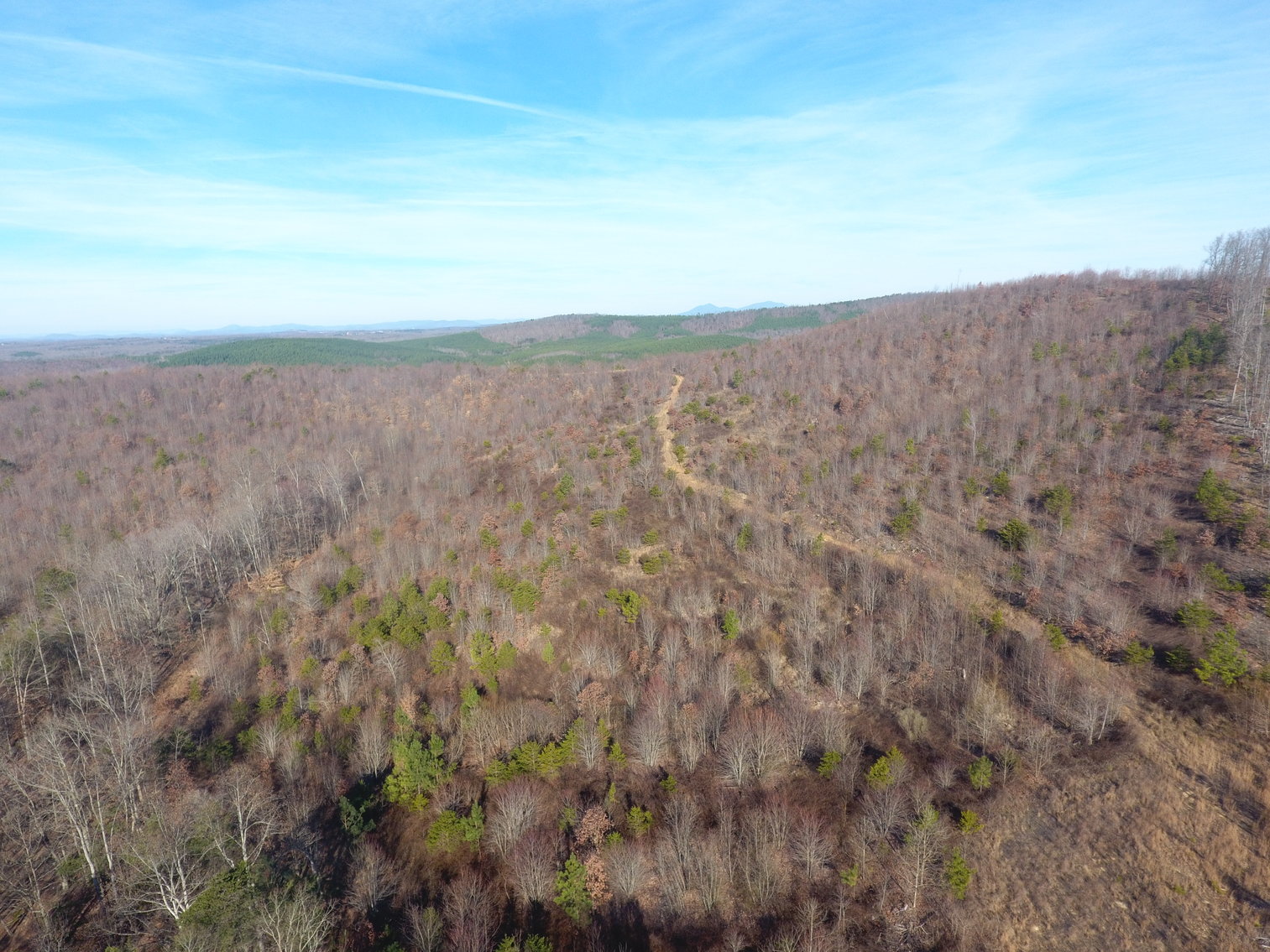 Image for 159 Inside Drive