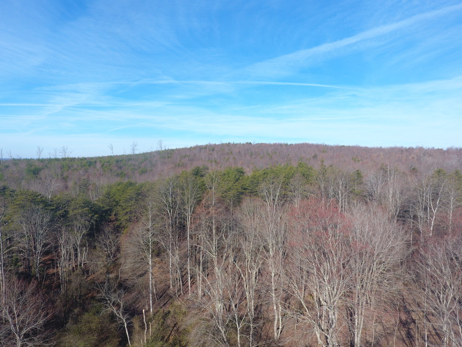 Image for 159 Inside Drive