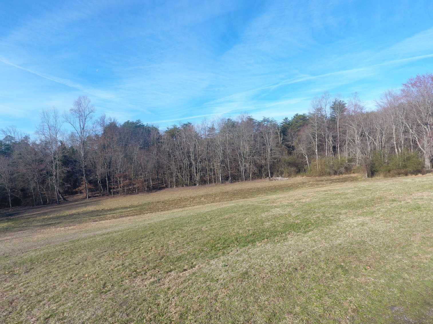 Image for 159 Inside Drive