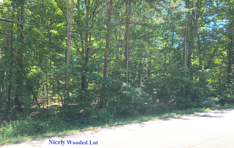 Image for Lake Wilderness Building Lot * Spotsylvania, VA *Seller Reserve is OFF! Property Sells to the Highest Bidder!*