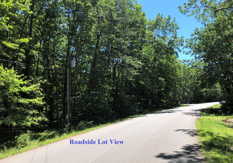 Image for Lake Wilderness Building Lot * Spotsylvania, VA *Seller Reserve is OFF! Property Sells to the Highest Bidder!*