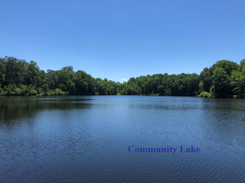 Image for Lake Wilderness Building Lot * Spotsylvania, VA *Seller Reserve is OFF! Property Sells to the Highest Bidder!*