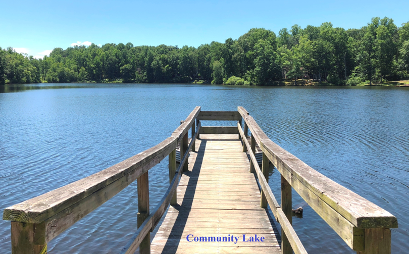 Image for Lake Wilderness Building Lot * Spotsylvania, VA *Seller Reserve is OFF! Property Sells to the Highest Bidder!*