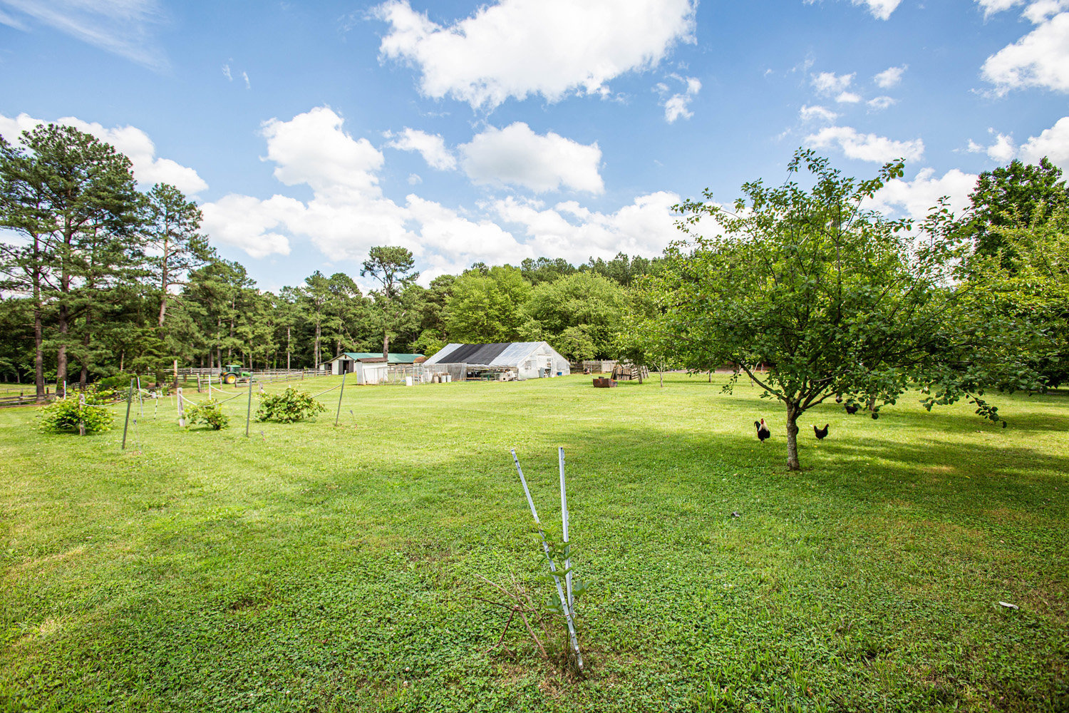 Image for 3 BR/2.5 BA Home w/13 Stall Barn, Outbuildings & Greenhouse on 5.47 +/- Acres in Orange County, VA