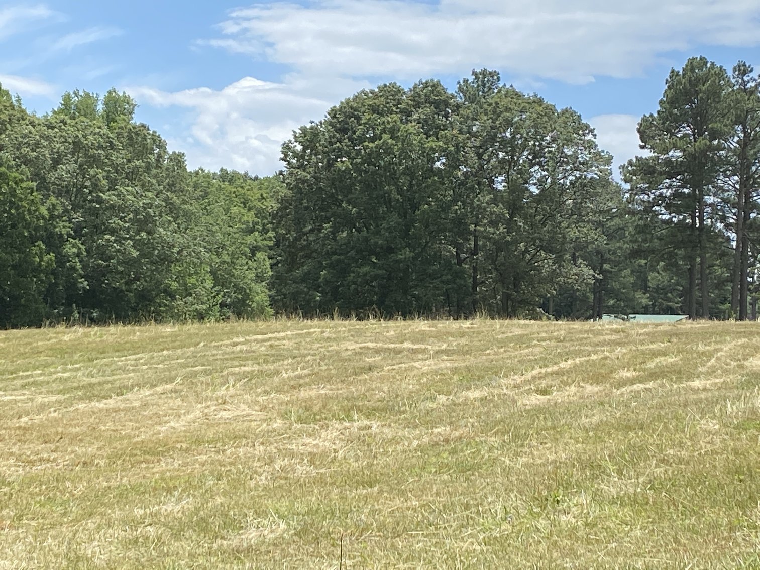 Image for 12 +/- Acre Parcel w/62'x70' Clean Span Building & Fencing in Orange County, VA