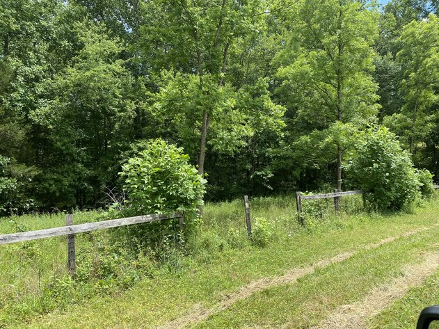Image for 2.1 +/- Acre Wooded Building Lot in Orange County, VA