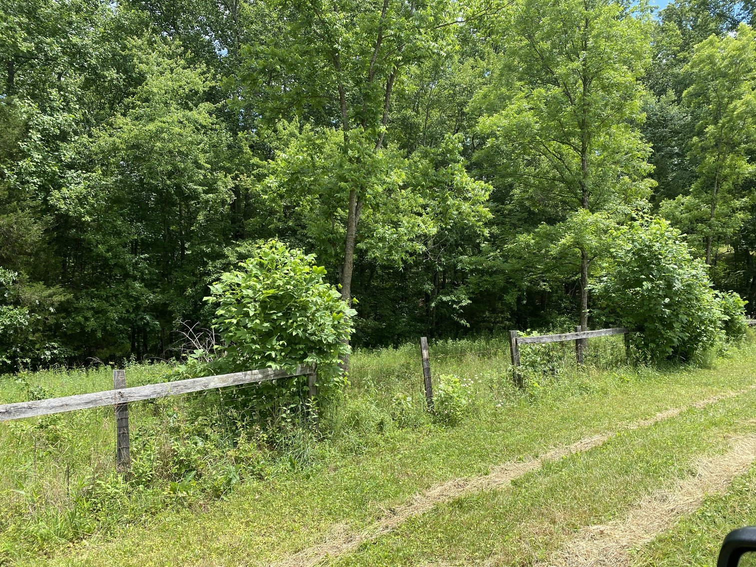 Image for 2 +/- Acre Wooded Building Lot in Orange, VA