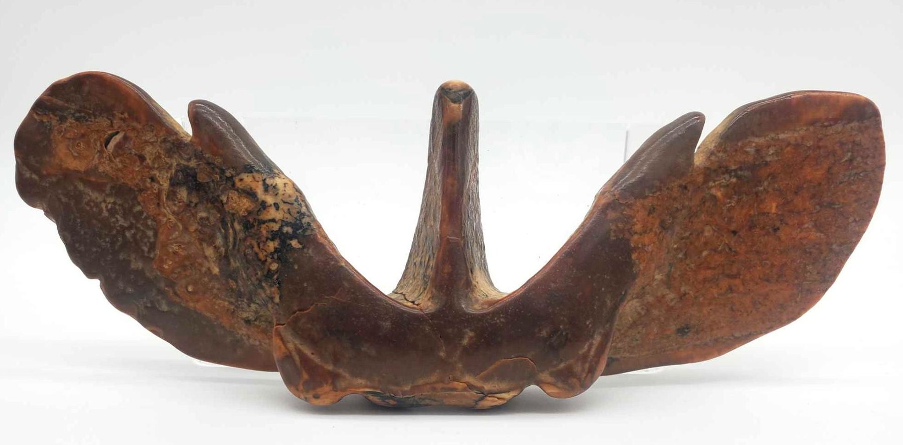 Image for Ethnographic & Alaskan Art Live Online Auction