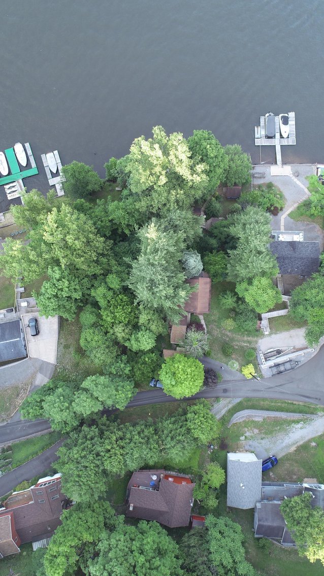 Chalet on Cheat Lake Sold to the Highest Bidder