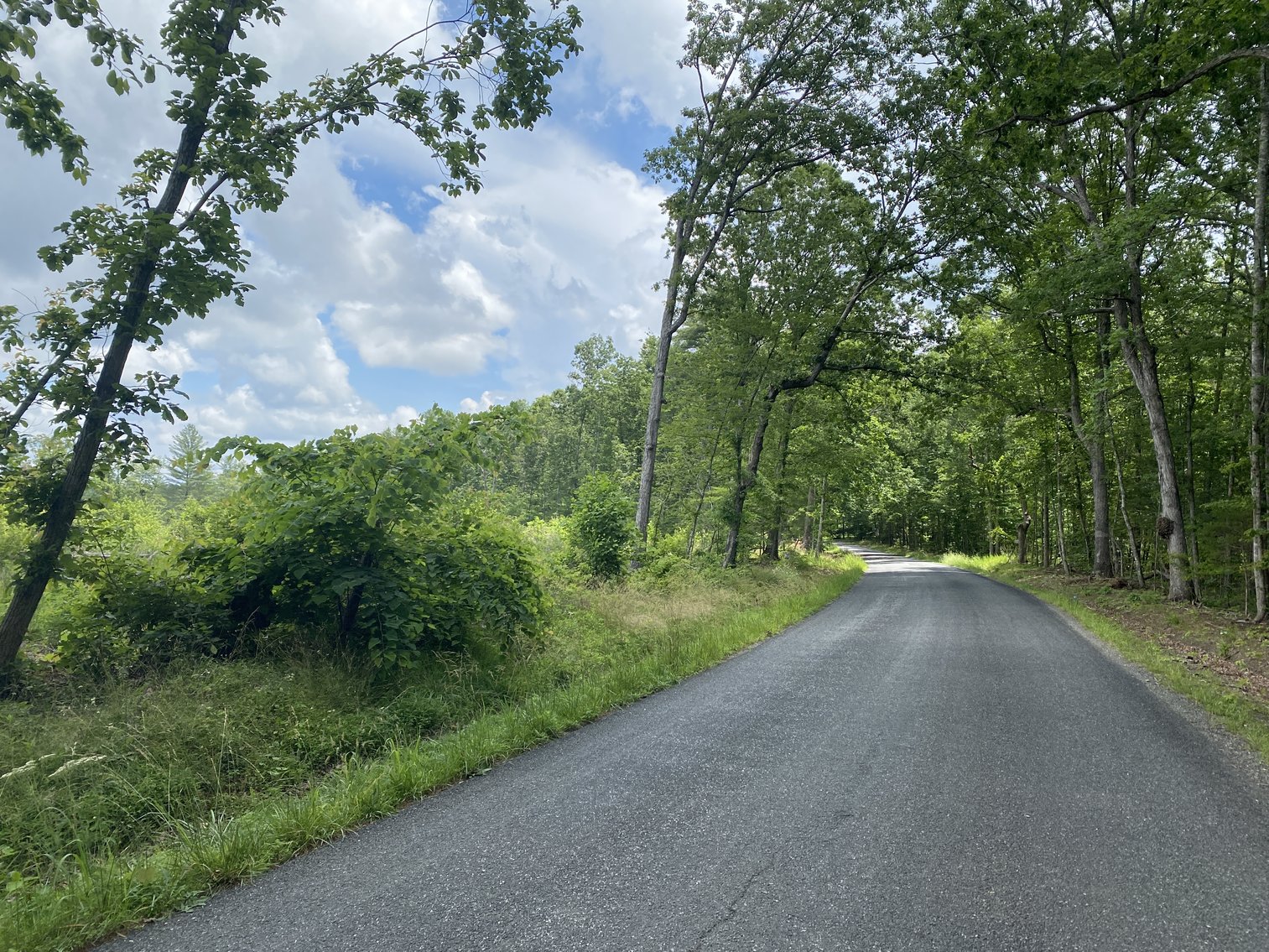 Image for 6 Tracts of Contiguous Raw Land Totaling 267 +/- Acres in Albemarle & Louisa Counties