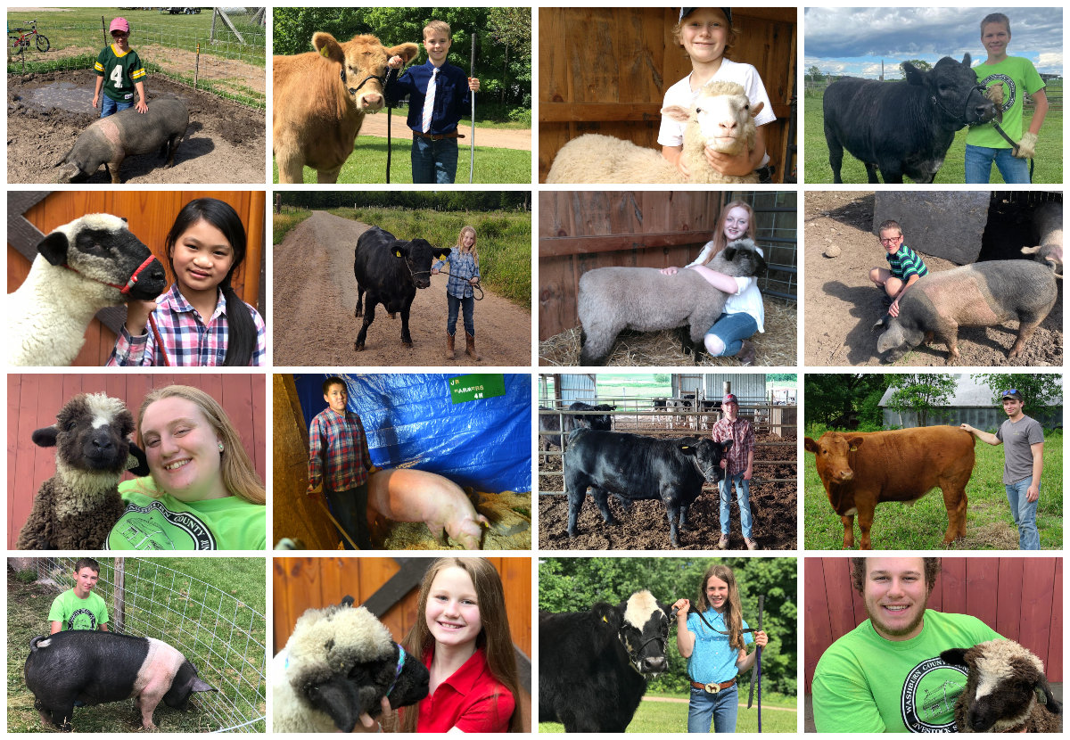 Image for Washburn Co Jr Livestock Show & Sale