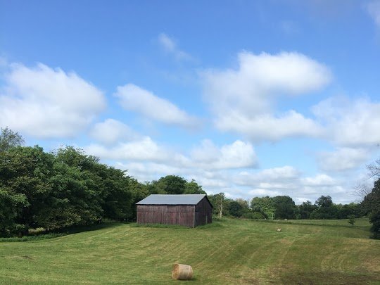 Image for The Petty Farm