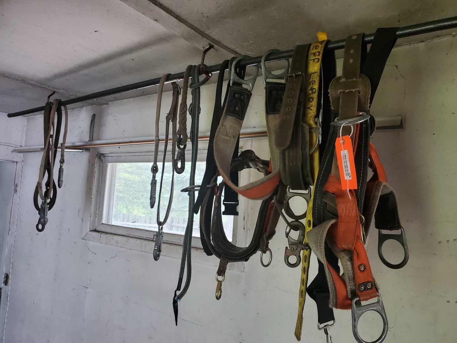 Image for Tree Service