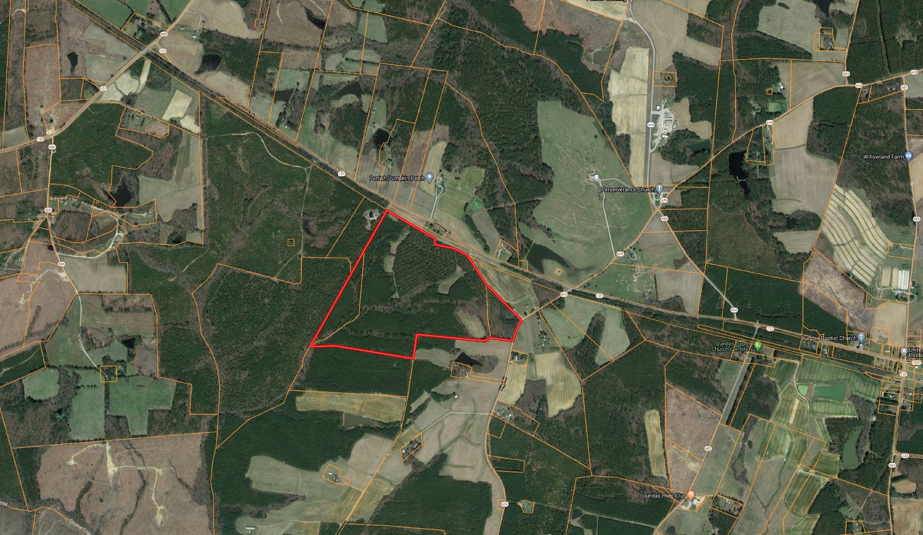 99 Acres of Timberland in Lunenburg County, VA