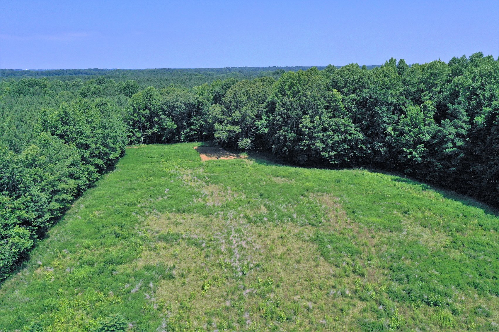Image for 99 Acres of Timberland in Lunenburg County, VA