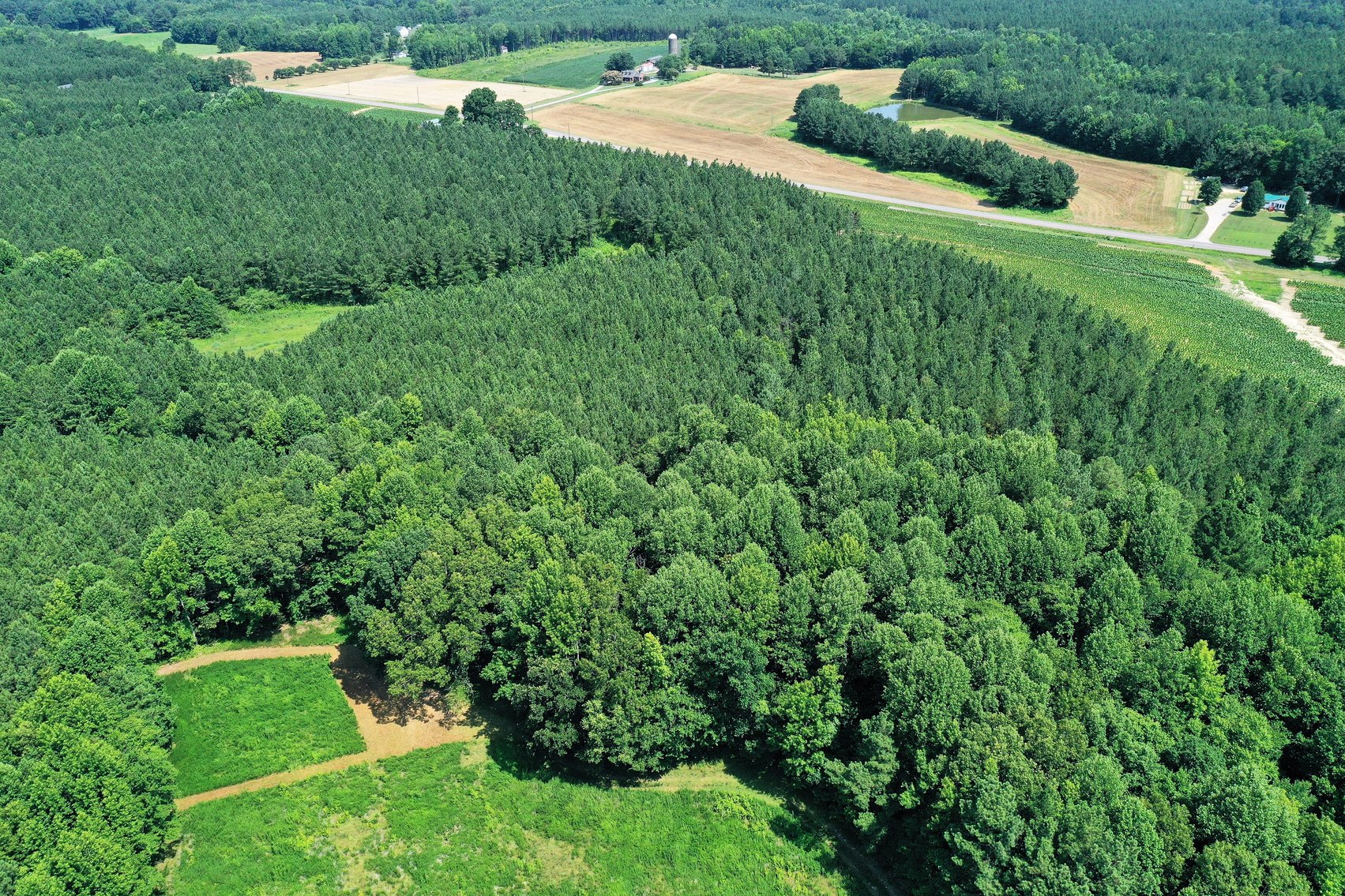 Image for 99 Acres of Timberland in Lunenburg County, VA