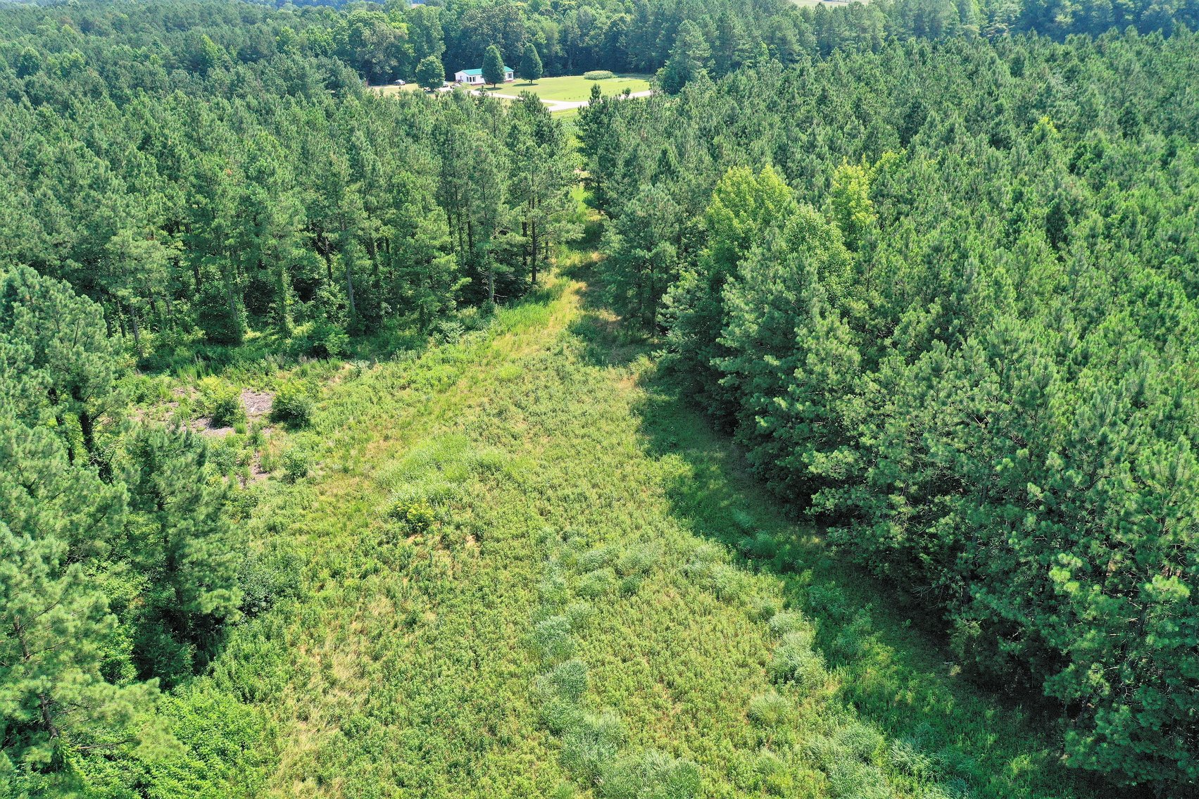 Image for 99 Acres of Timberland in Lunenburg County, VA