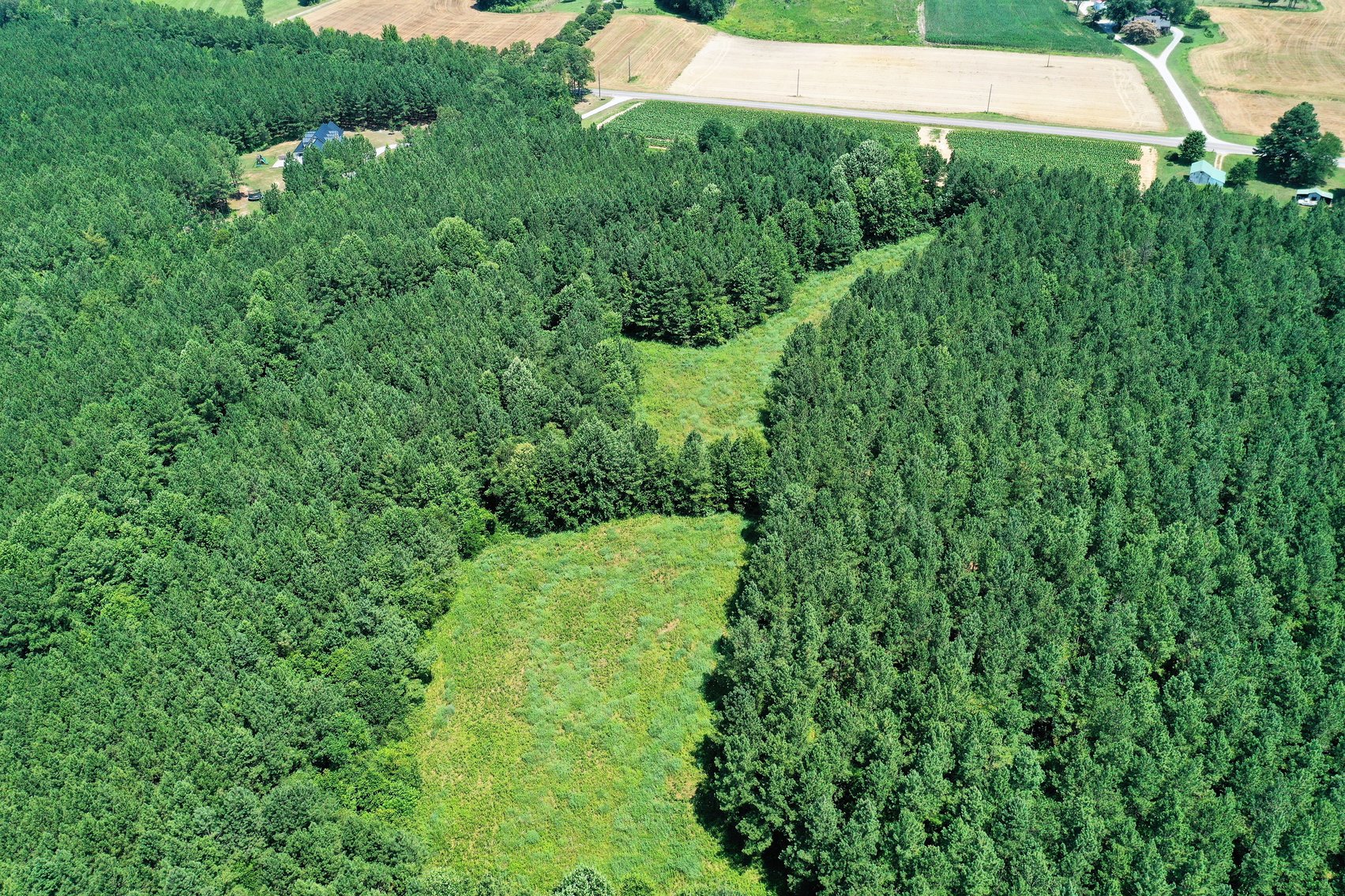 Image for 99 Acres of Timberland in Lunenburg County, VA