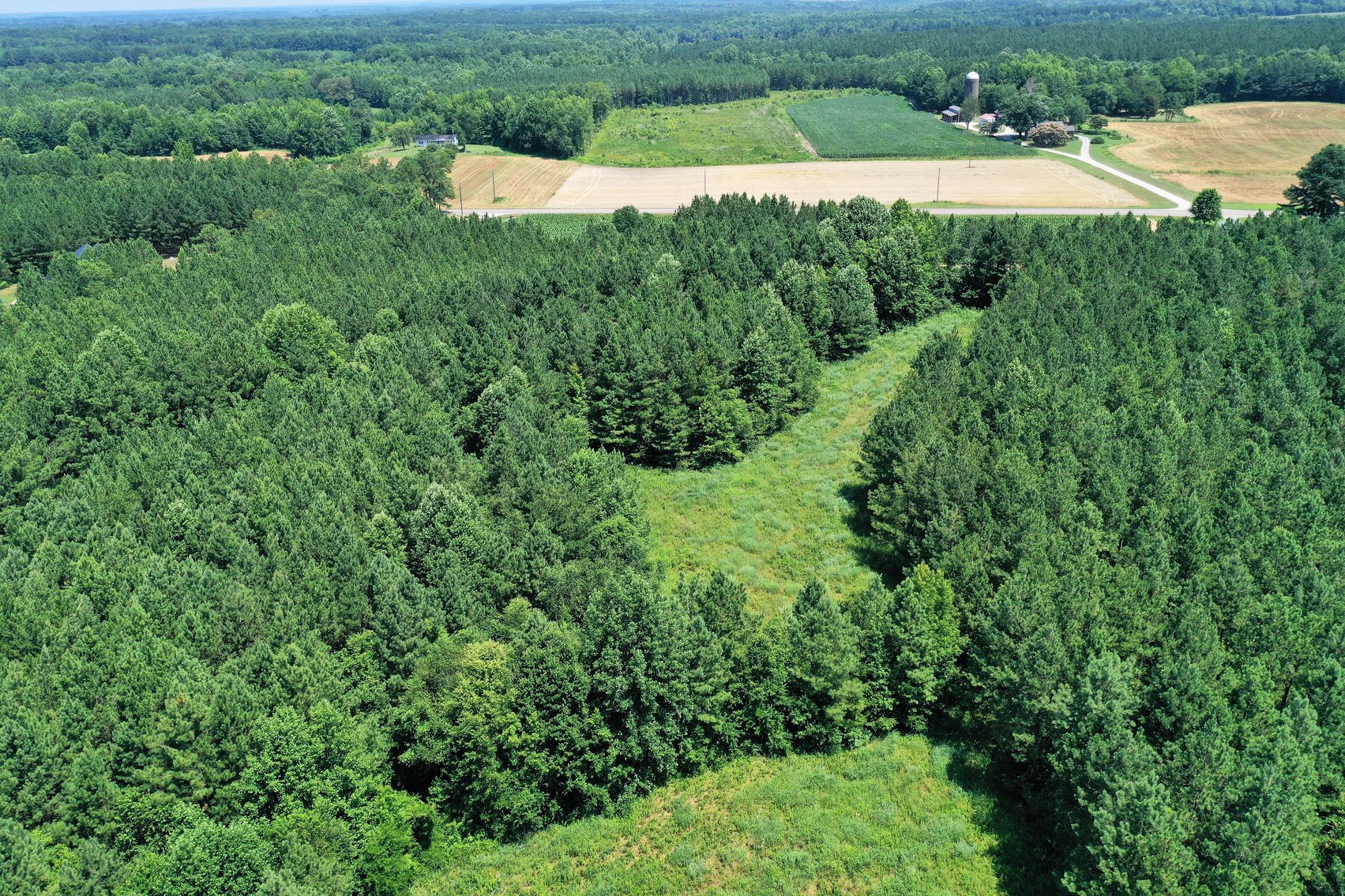 Image for 99 Acres of Timberland in Lunenburg County, VA