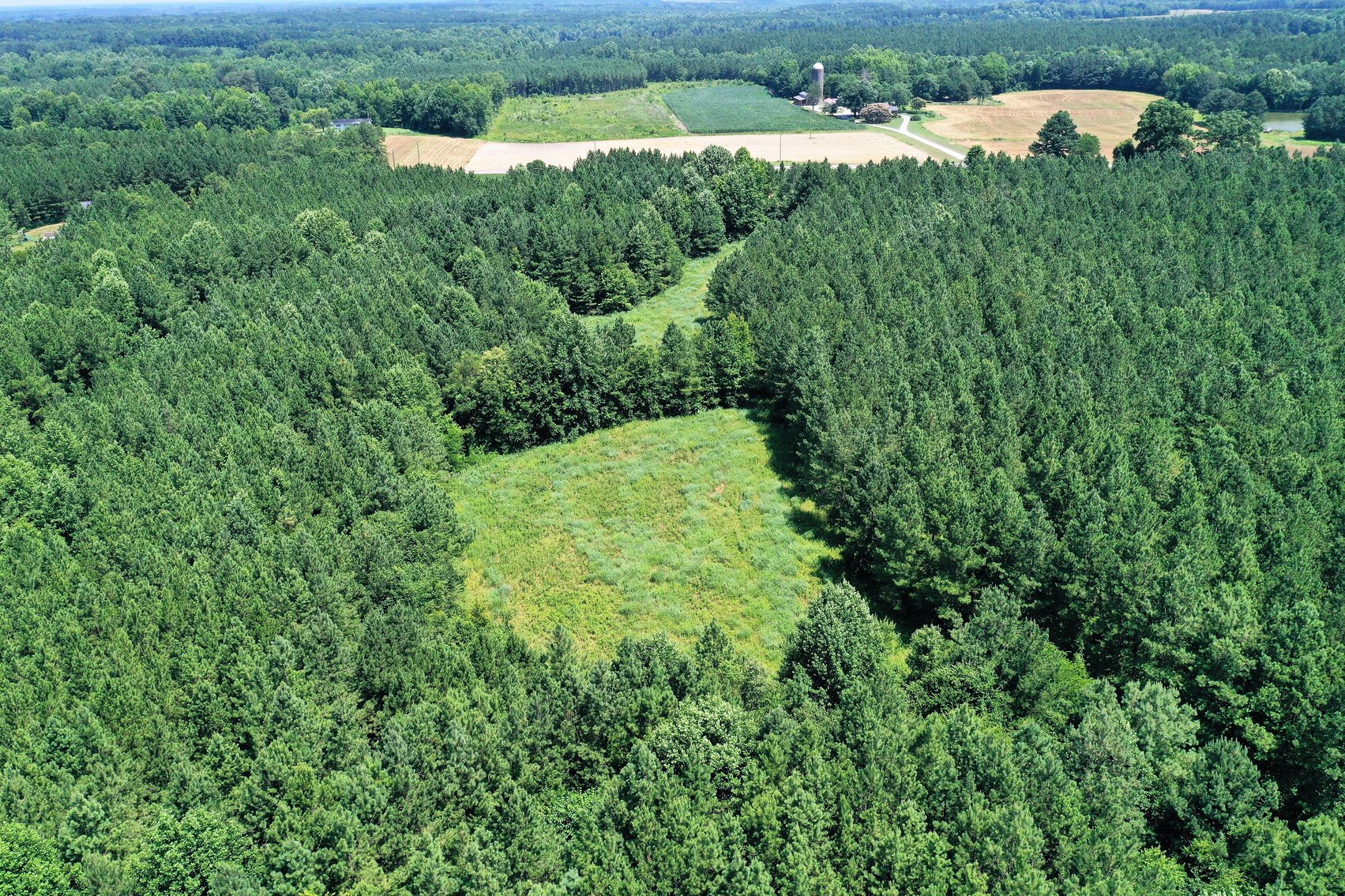 Image for 99 Acres of Timberland in Lunenburg County, VA