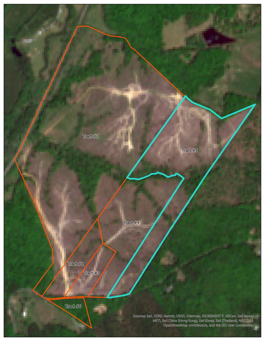 Image for 6 Tracts of Contiguous Raw Land Totaling 267 +/- Acres in Albemarle & Louisa Counties