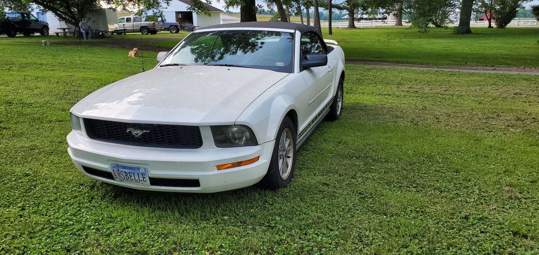 Image for Multi Family Estate Auction