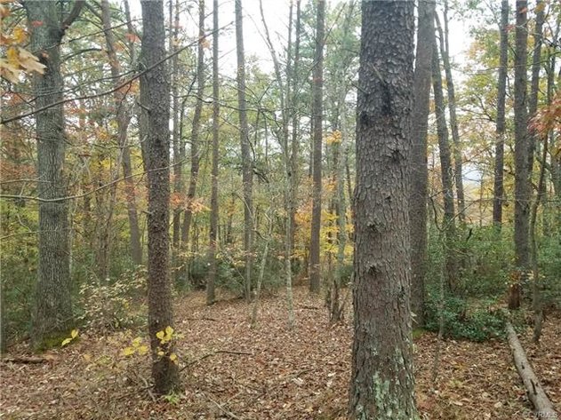 Image for 14.01 ± AC Residential Building Site - Elevated Building Lot - Albemarle County - 0 Thomas Jefferson Pky., Charlottesville, VA 22902