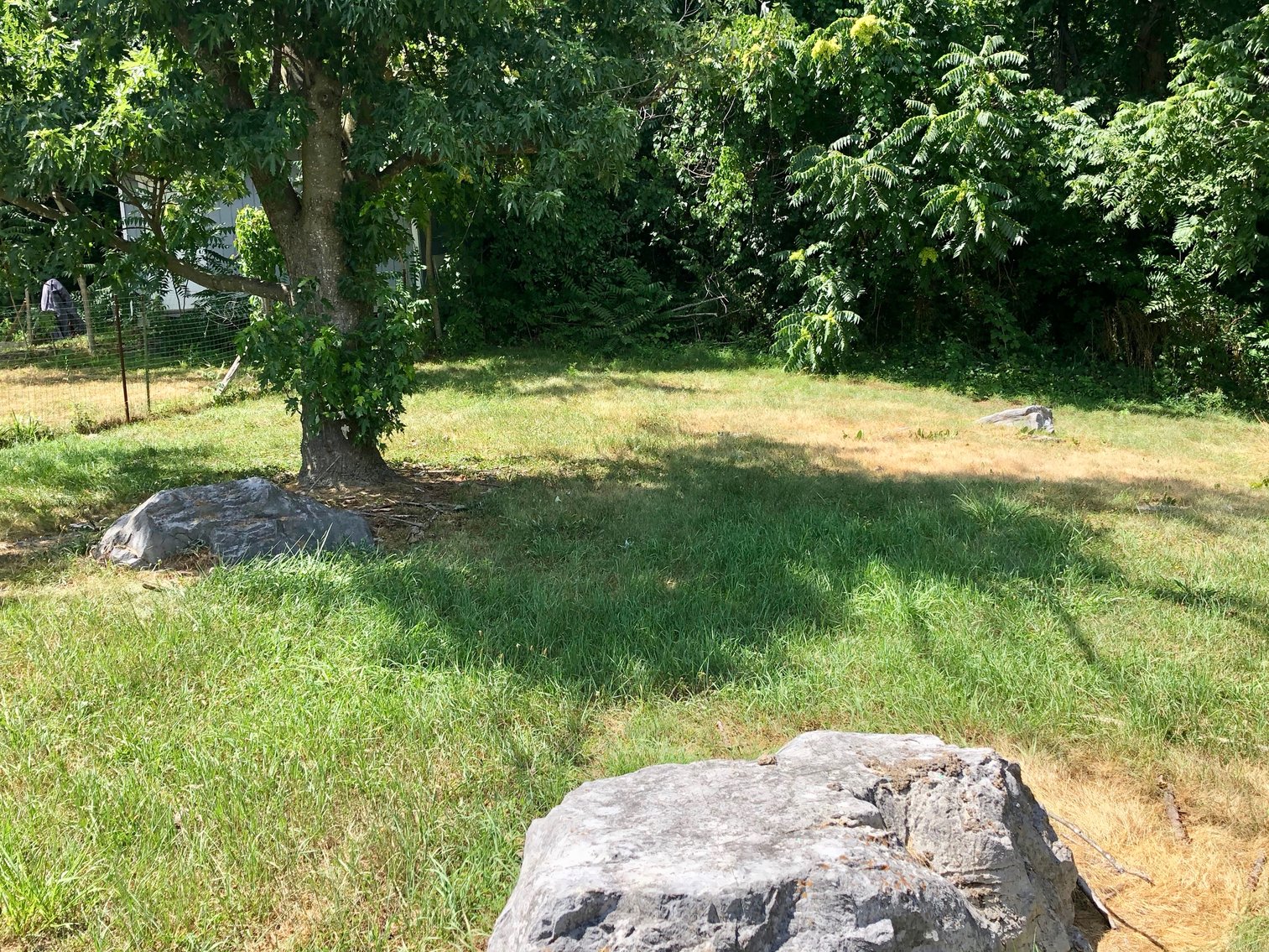 Image for 2 BR/1 BA Home in Harrisonburg, VA, Only 2 Miles From James Madison University--SELLS to the HIGHEST BIDDER!!