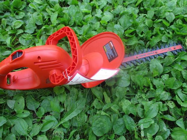 Image for Annette Young Personal Property