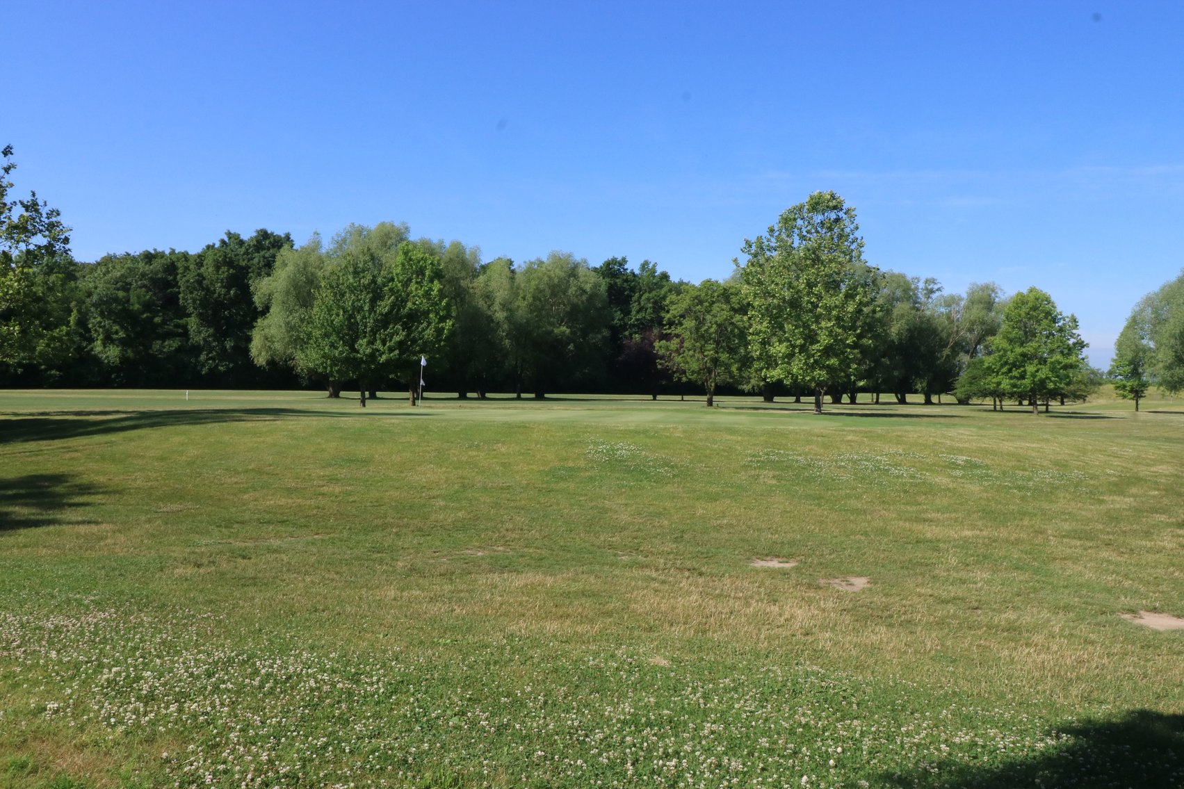 Image for REAL ESTATE AUCTION! - 6062 Wood Drive