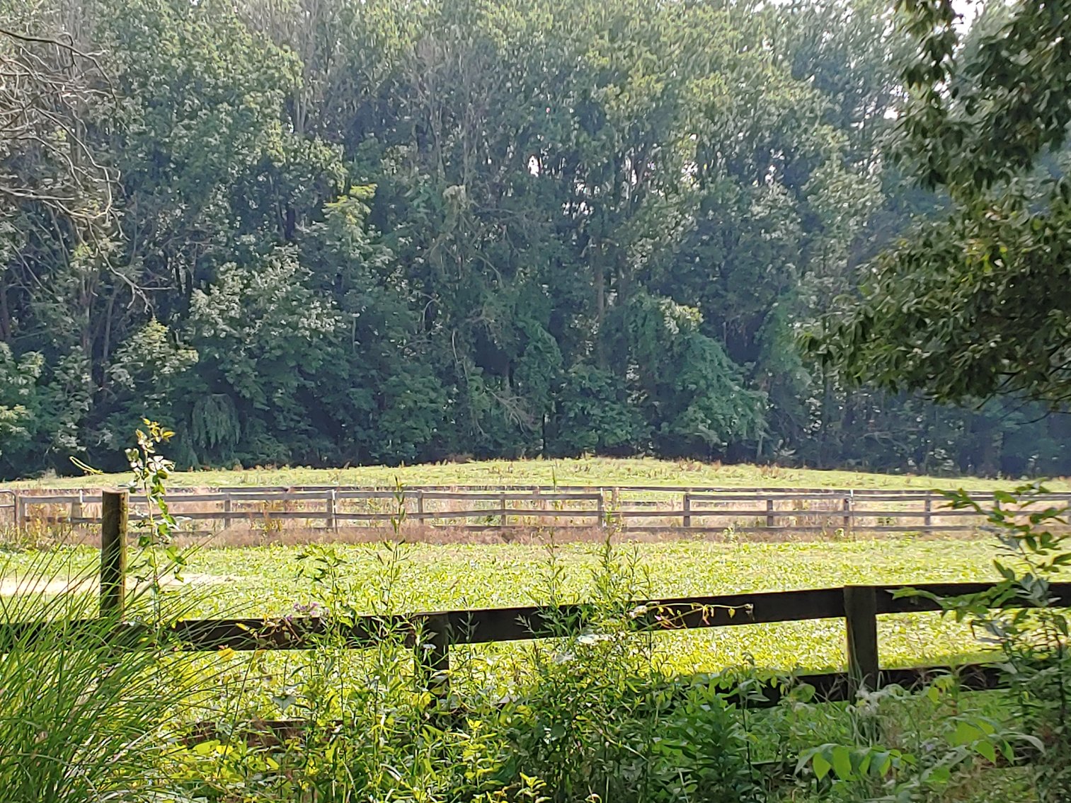 Image for TWO PARCELS TOTALING 5.79+/- ACRES W/ CUSTOM STONE RANCHER AND ADJOINING LOT