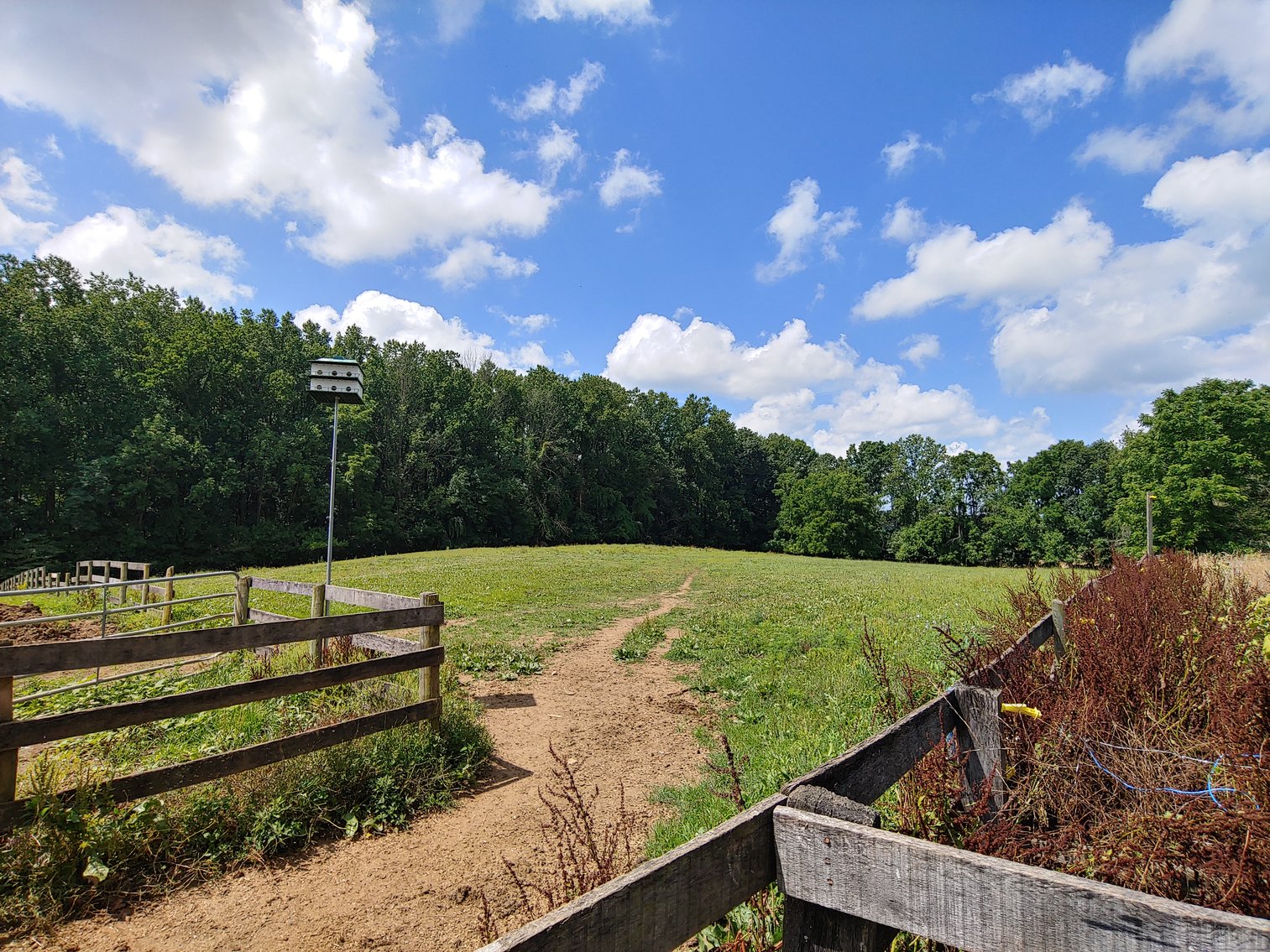 Image for TWO PARCELS TOTALING 5.79+/- ACRES W/ CUSTOM STONE RANCHER AND ADJOINING LOT