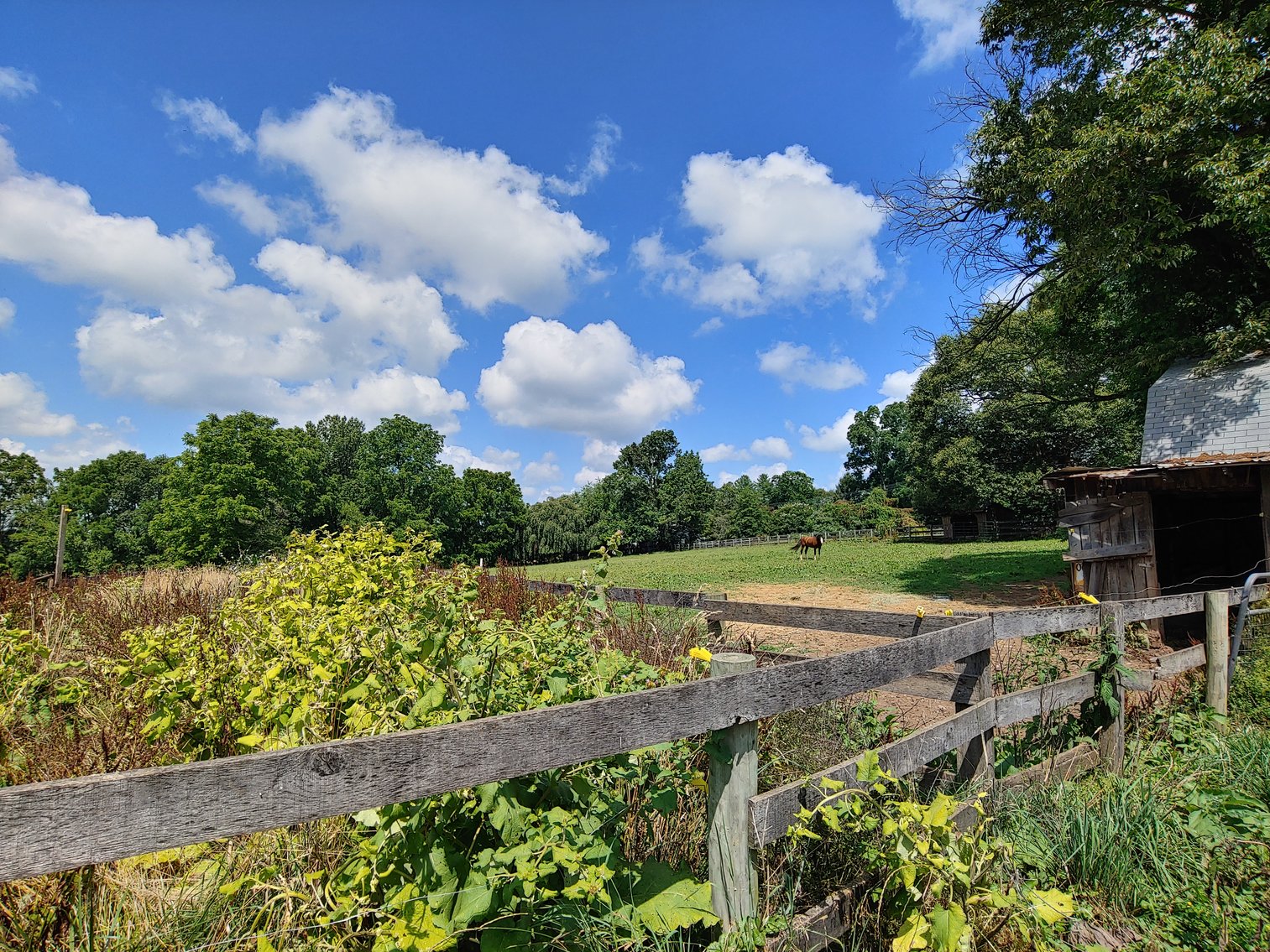 Image for TWO PARCELS TOTALING 5.79+/- ACRES W/ CUSTOM STONE RANCHER AND ADJOINING LOT