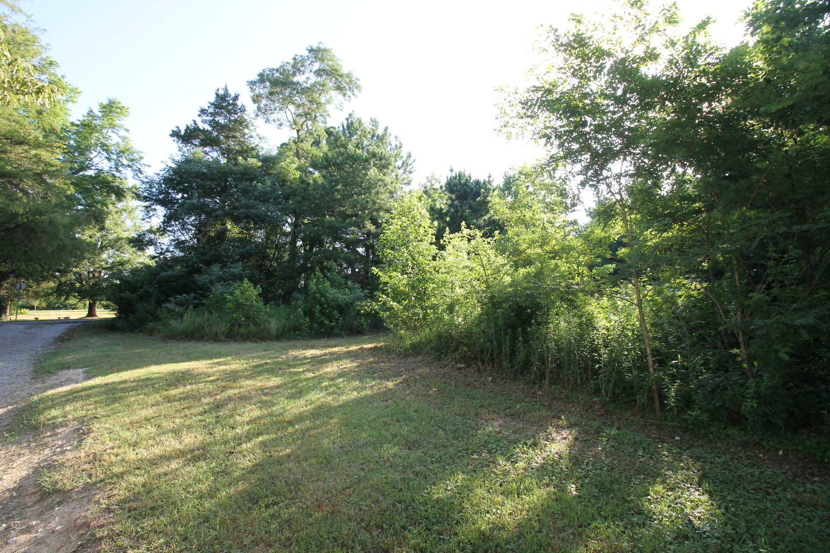 Image for 3 BR/1 BA Home on .3 +/- Acre Lot AND Adjacent 3.3 +/- Acre & .7 +/- Acre Lots--SELLS to the HIGHEST BIDDER!!