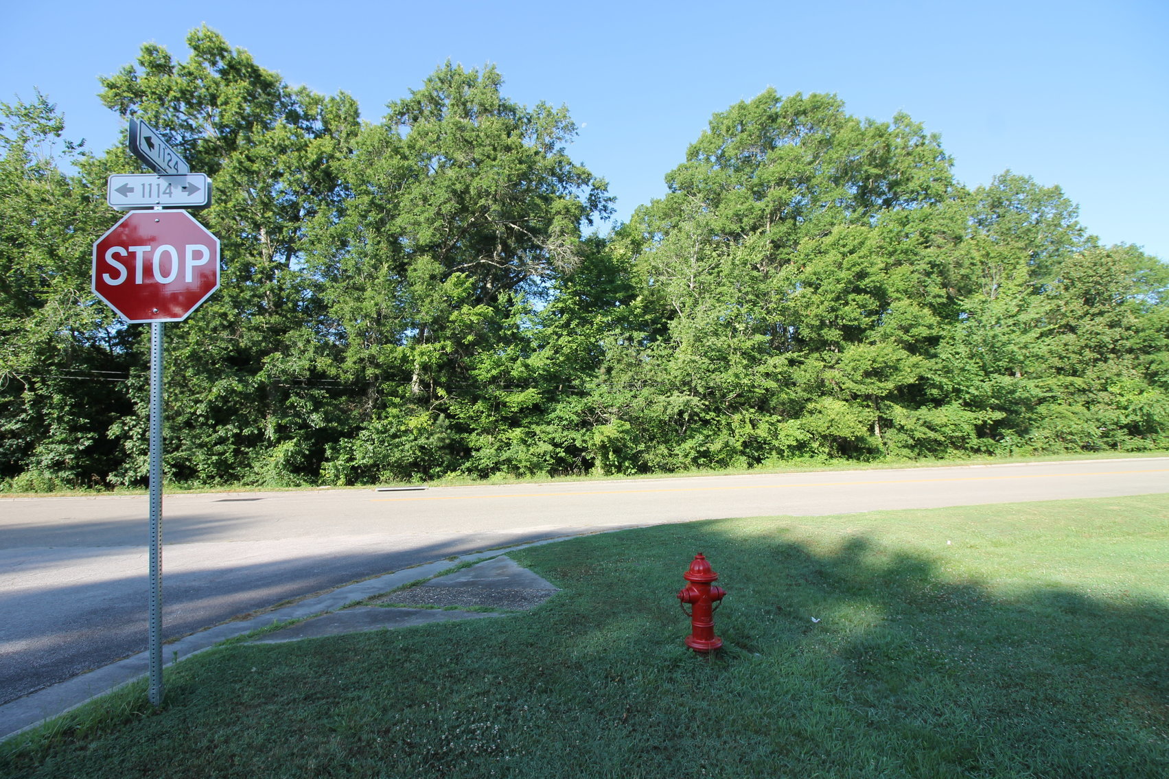 Image for 2 Parcels totaling 3.67 +/- Acres in Lunenburg County, VA--SELLS to the HIGHEST BIDDER!!