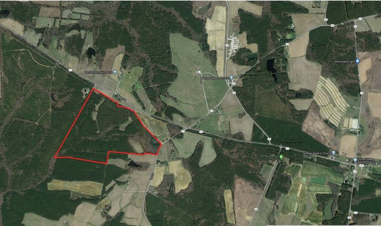 Image for 99 Acres of Timberland in Lunenburg County, VA
