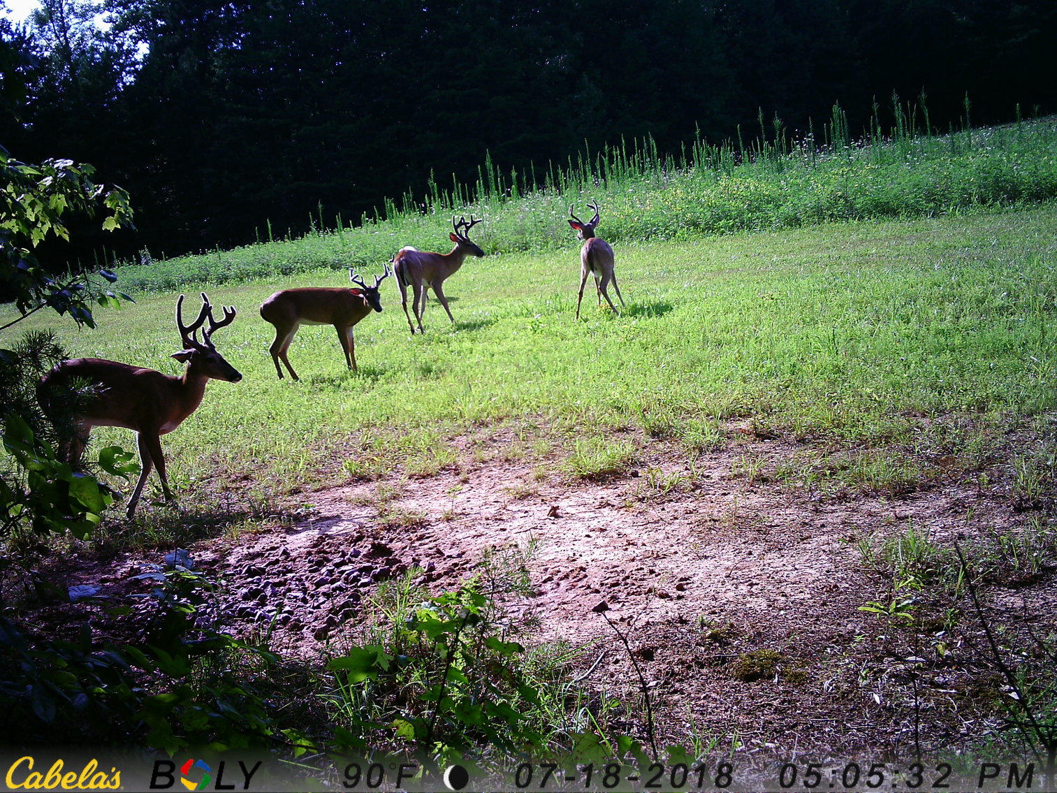 Image for 6516  E Gretna Rd,  Gretna, VA  24577