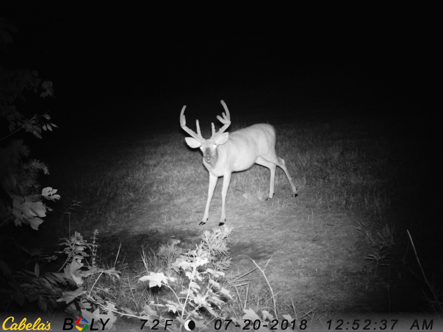 Image for 6516  E Gretna Rd,  Gretna, VA  24577