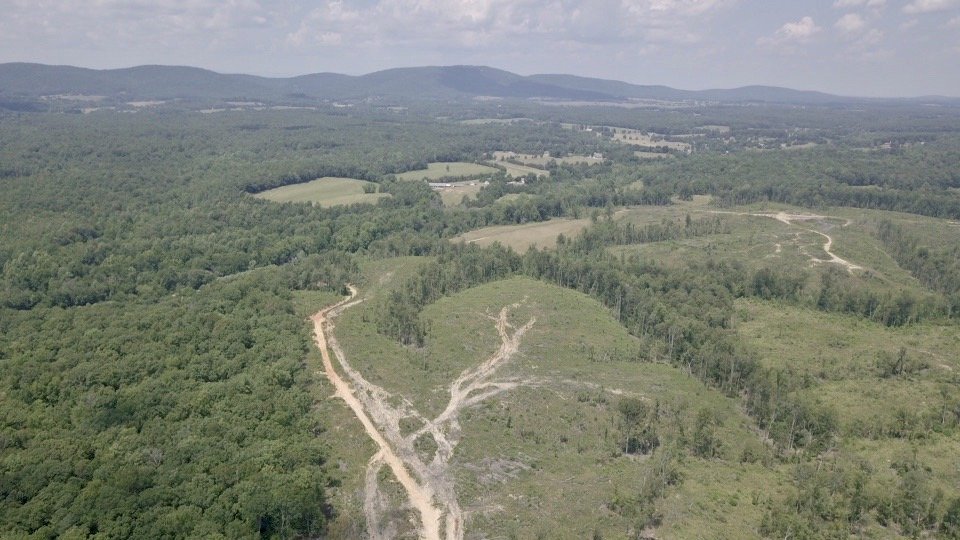 Image for 6 Tracts of Contiguous Raw Land Totaling 267 +/- Acres in Albemarle & Louisa Counties