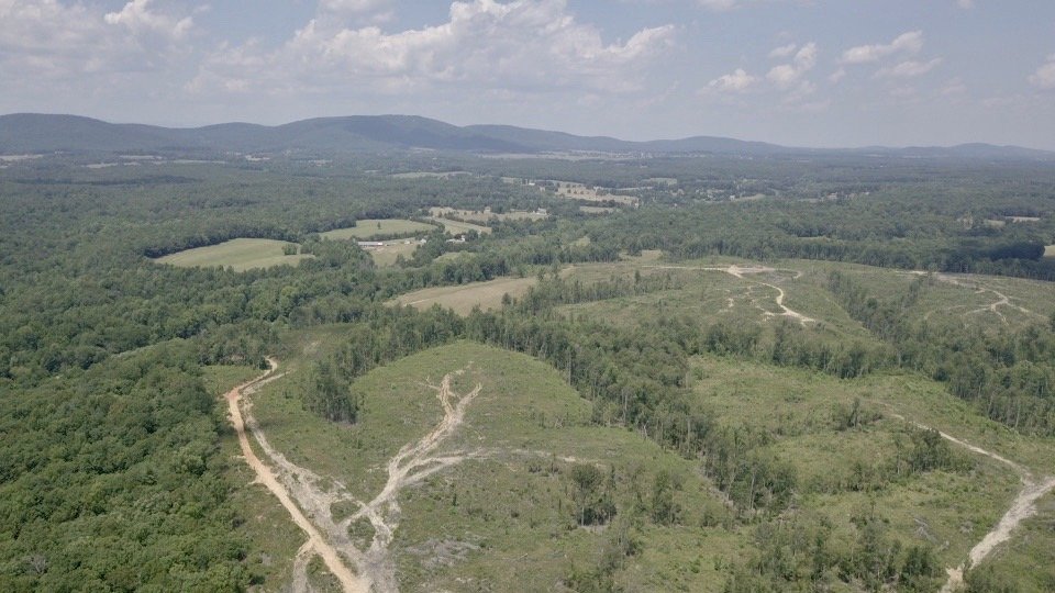 Image for 6 Tracts of Contiguous Raw Land Totaling 267 +/- Acres in Albemarle & Louisa Counties