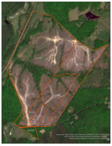 Image for 6 Tracts of Contiguous Raw Land Totaling 267 +/- Acres in Albemarle & Louisa Counties