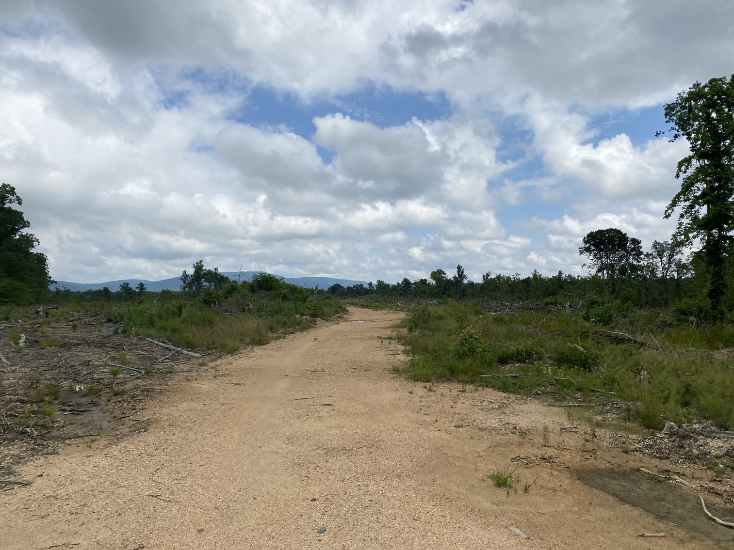 Image for 6 Tracts of Contiguous Raw Land Totaling 267 +/- Acres in Albemarle & Louisa Counties