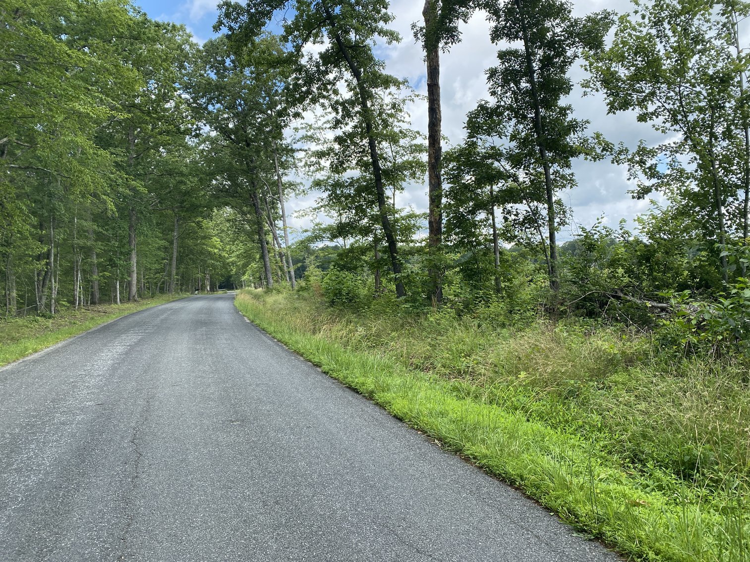 Image for 6 Tracts of Contiguous Raw Land Totaling 267 +/- Acres in Albemarle & Louisa Counties