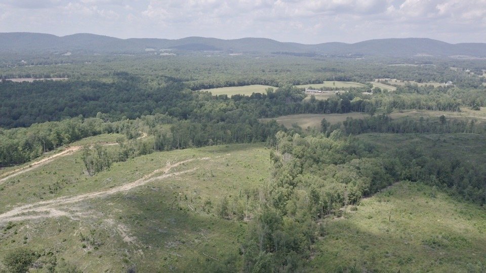 6 Tracts of Contiguous Raw Land Totaling 267 +/- Acres in Albemarle ...