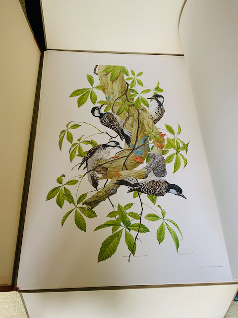 Image for Virtual Auction for the George A. Horkan Jr. Trust - Cleremont Farm